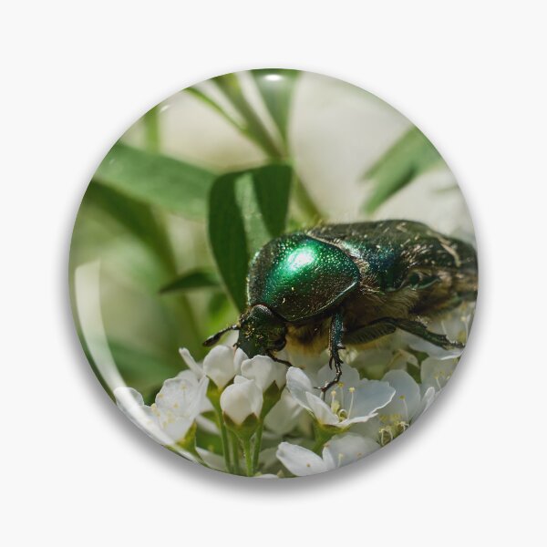Item preview, Flowerdeli. Rose Chafer designed and sold by Jouko Lehto Photography.