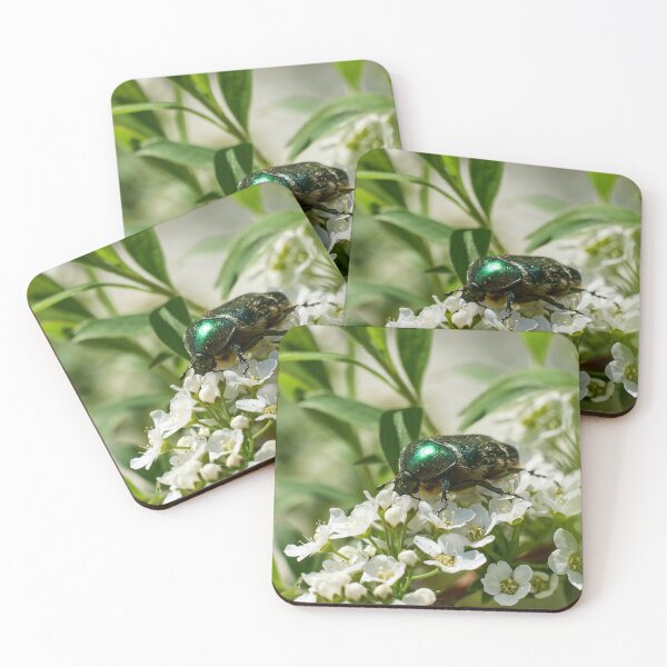 Item preview, Flowerdeli. Rose Chafer designed and sold by Jouko Lehto Photography.