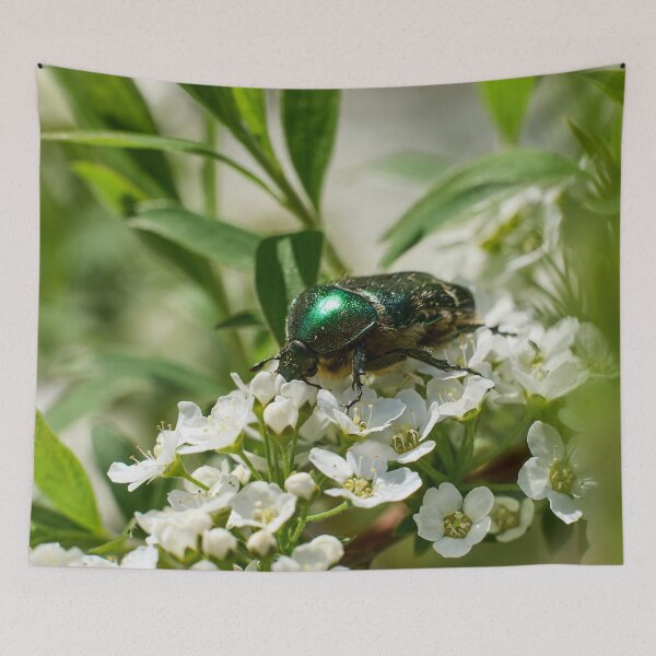 Item preview, Flowerdeli. Rose Chafer designed and sold by Jouko Lehto Photography.