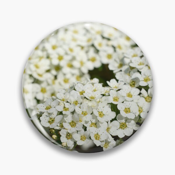 Item preview, First snow spirea. Garland Spirea designed and sold by Jouko Lehto Photography.