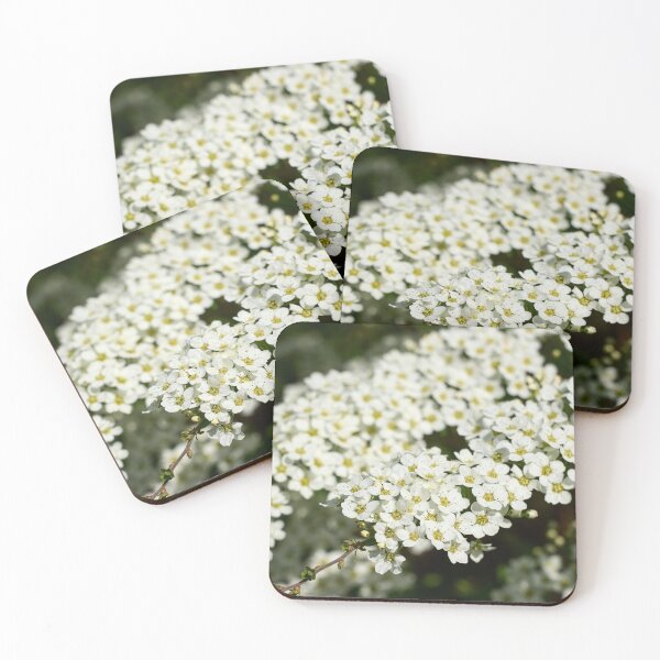 Item preview, First snow spirea. Garland Spirea designed and sold by Jouko Lehto Photography.
