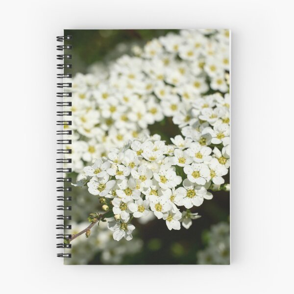 Item preview, First snow spirea. Garland Spirea designed and sold by Jouko Lehto Photography.