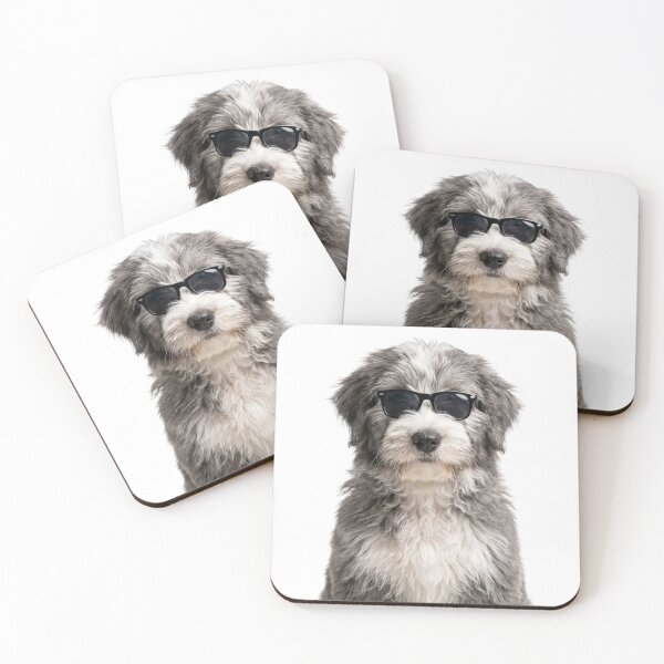 Item preview, Cute Baby Bearded Collie Wearing Sunglasses Funny designed and sold by RareLavender.