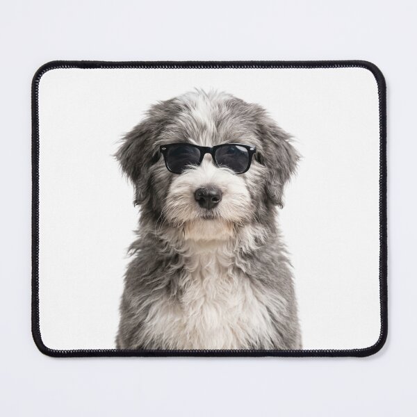 Item preview, Cute Baby Bearded Collie Wearing Sunglasses Funny designed and sold by RareLavender.