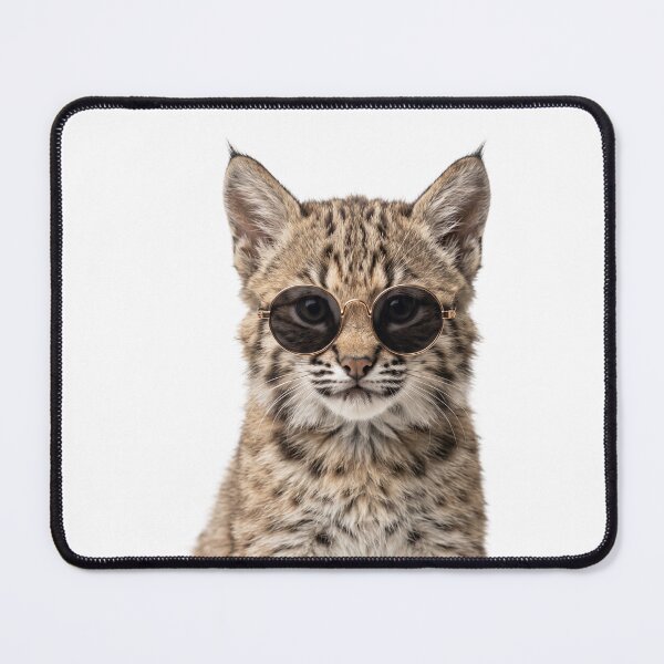 Item preview, Cute Baby Bobcat Wearing Sunglasses Funny designed and sold by RareLavender.
