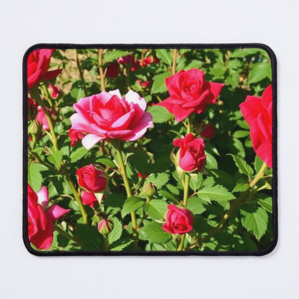 Item preview, roses designed and sold by holylandzreiki.