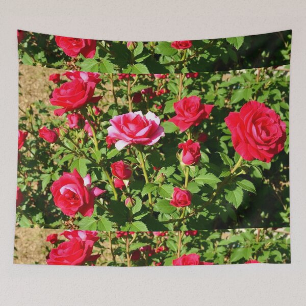 Item preview, roses designed and sold by richard ely.