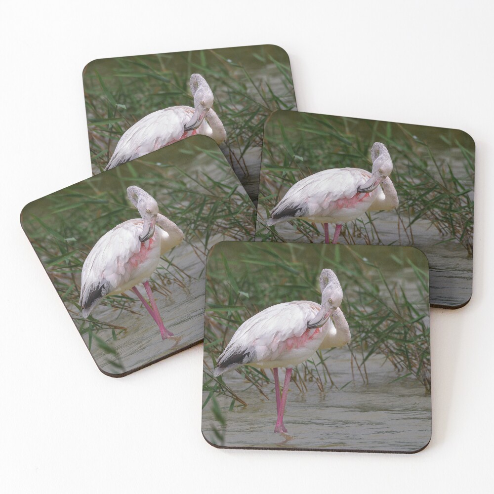 Item preview, Coasters (Set of 4) designed and sold by RalphGoldsmith.