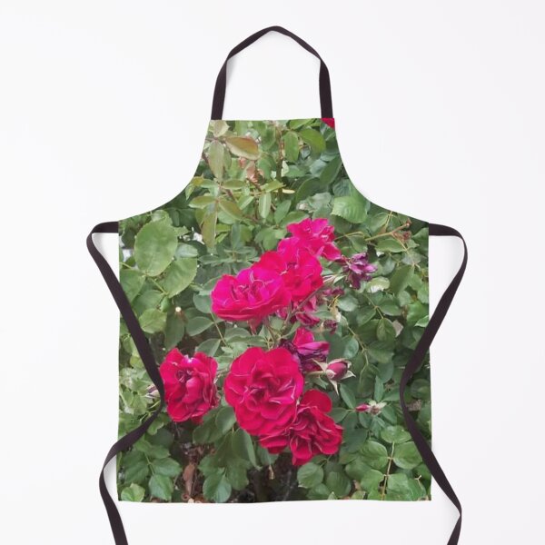 Item preview, live rose bush designed and sold by richard ely.