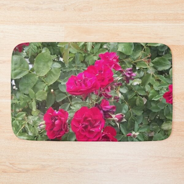 Item preview, live rose bush designed and sold by richard ely.