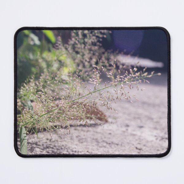 Item preview, Feather Lovegrass designed and sold by ROSE ANN BANILAR.