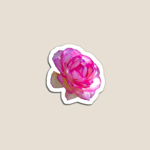 Item preview, Pink Rose Floral designed and sold by Ezrabilquis7.