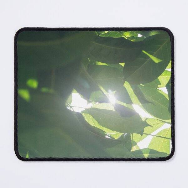 Item preview, Sunlight Thru Leaves designed and sold by ROSE ANN BANILAR.