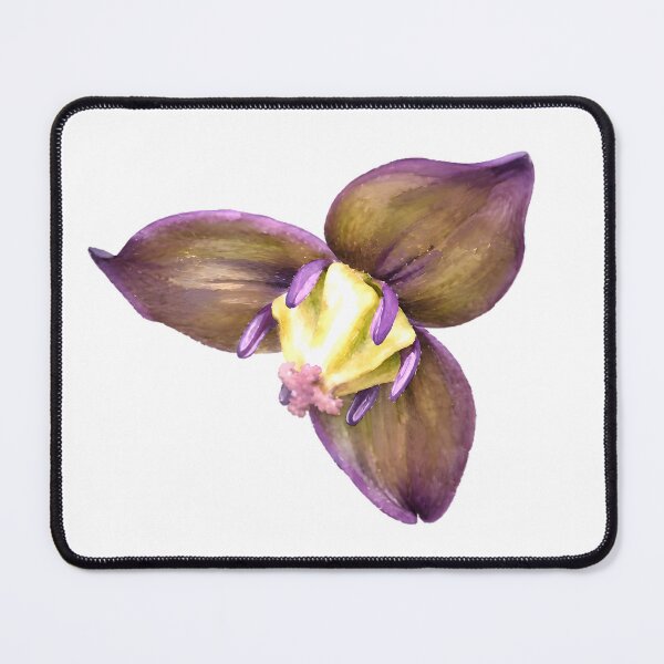 Item preview, Enreisou (Trillium smallii) – Trillium designed and sold by HOMETOWN86.