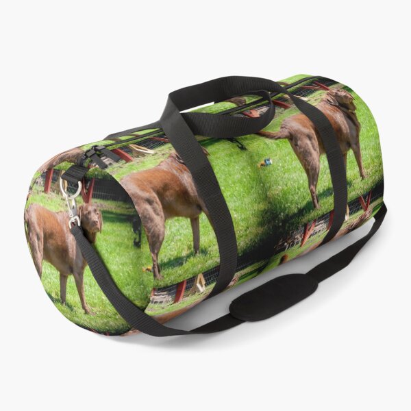 Item preview, Marley the Proud Chocolate Labrador Retriever _ 0339_mm&m designed and sold by michaelasamples.
