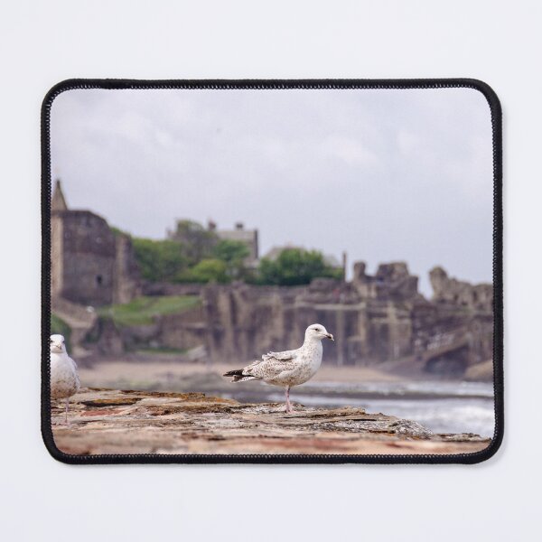 Item preview, Gulls at St Andrews Castle designed and sold by Kasia Design.
