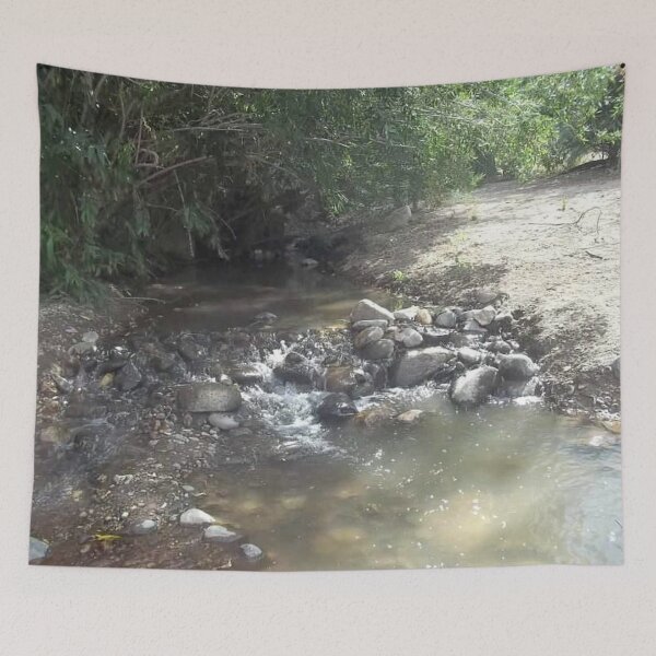 Item preview, desert oasis stream designed and sold by richard ely.