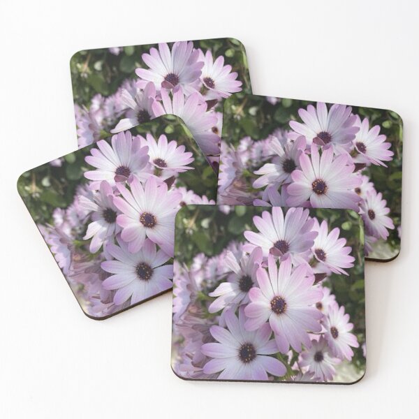 Item preview, Purple and white African daisies. designed and sold by BalkanBloomArt.