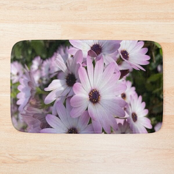 Item preview, Purple and white African daisies. designed and sold by BalkanBloom.
