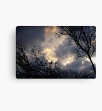 Heavens Above Canvas Print
