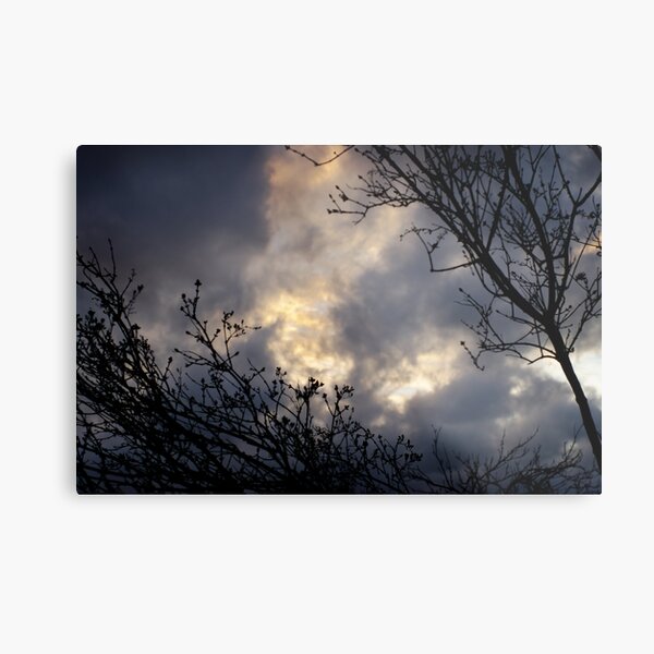 Heavens Above Metal Print