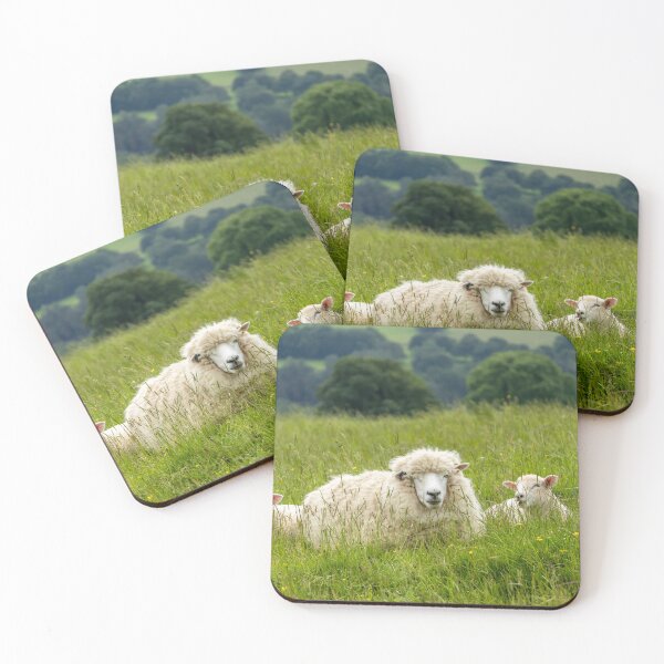 Item preview, Sheep and lambs designed and sold by Jane Stanley Photography.