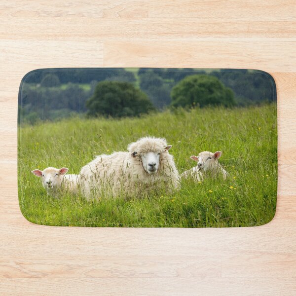 Item preview, Sheep and lambs designed and sold by Jane Stanley Photography.
