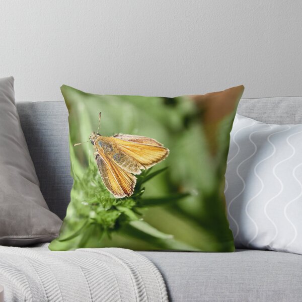 Item preview, Possible Lulworth Skipper designed and sold by Eidetic Photos.