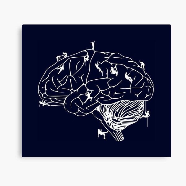 Climbing On The Brain Canvas Print
