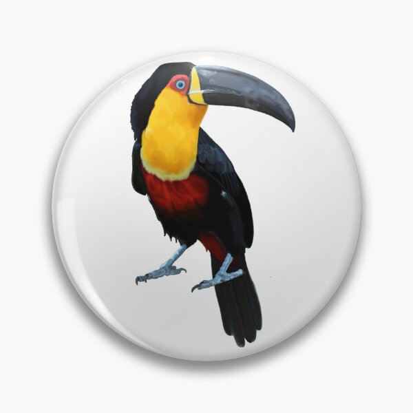 Item preview, Toucan designed and sold by PaulaGaitleyArt.