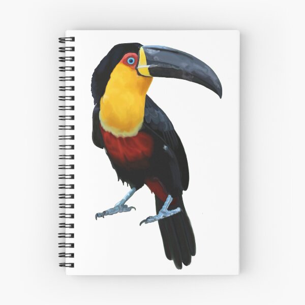 Item preview, Toucan designed and sold by PaulaGaitleyArt.