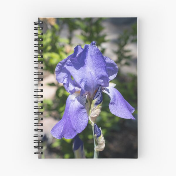 Item preview, Vibrant Purple Iris Bloom and Buds in the Sunshine designed and sold by Georgia Mizuleva.