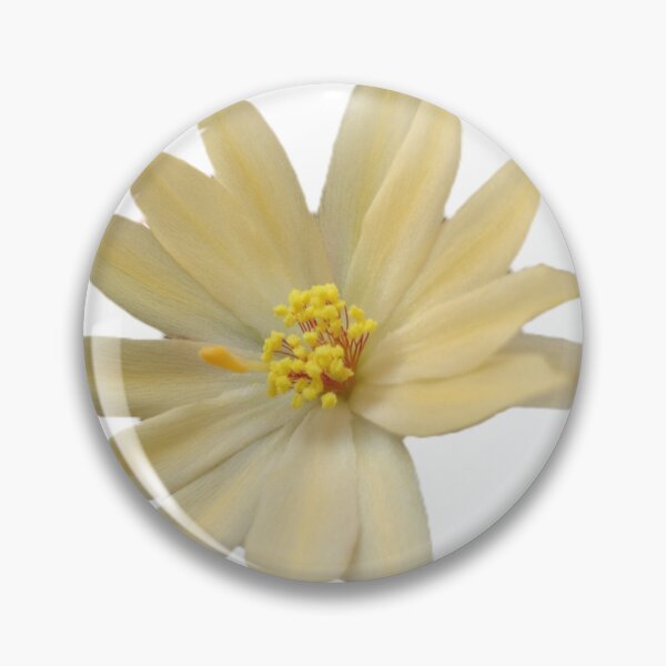 Item preview, Yellow Cactus Flower Sticker designed and sold by Ezrabilquis7.