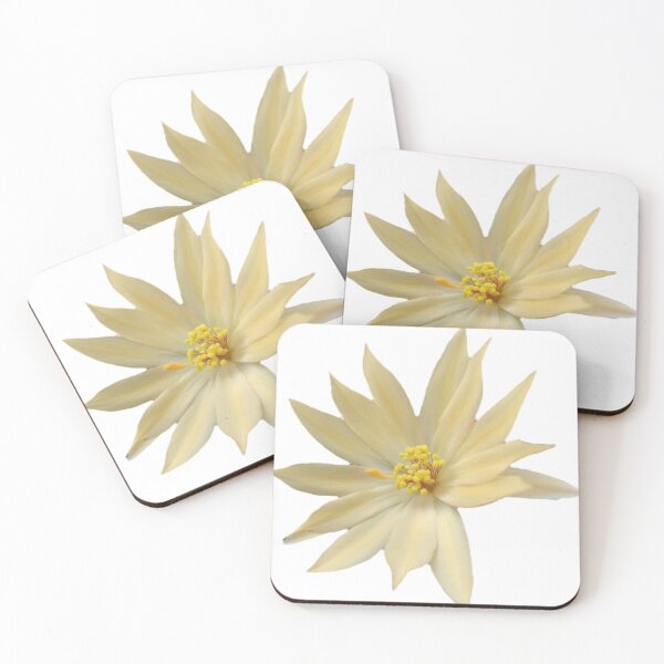 Item preview, Yellow Cactus Flower Sticker designed and sold by Ezrabilquis7.