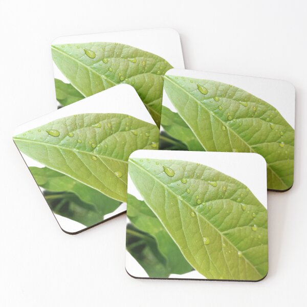 Item preview, Green Leaf Dewdrop Sticker | Nature Photography designed and sold by Ezrabilquis7.