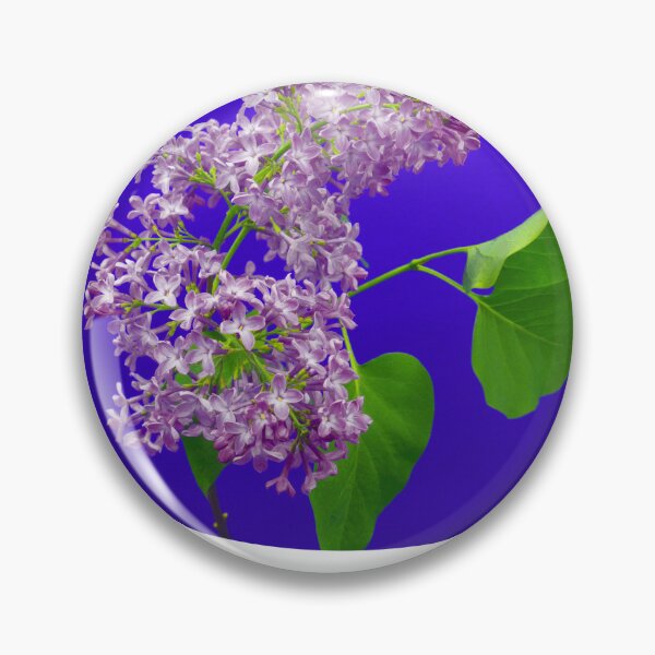 Item preview, FOREVER SPRING Lilac Photo Print  designed and sold by JurateArt-DK.
