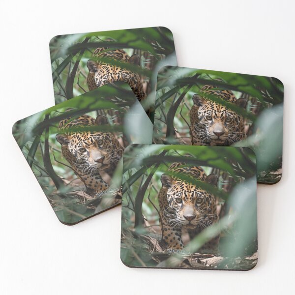 Item preview, Jaguar Stalking Through the Rainforest designed and sold by Erika Kaisersot.