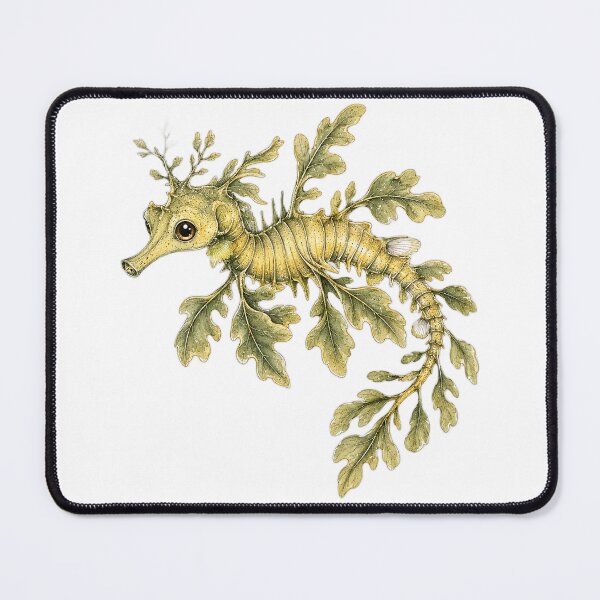 Item preview, Cute Vintage Leafy Seadragon Sticker - Kelp Sea Dragon Illustration designed and sold by PND7777.