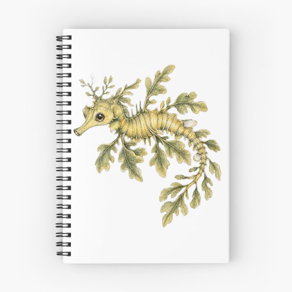 Item preview, Cute Vintage Leafy Seadragon Sticker - Kelp Sea Dragon Illustration designed and sold by PND7777.