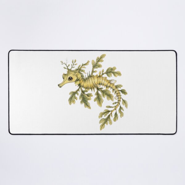 Item preview, Cute Vintage Leafy Seadragon Sticker - Kelp Sea Dragon Illustration designed and sold by PND7777.