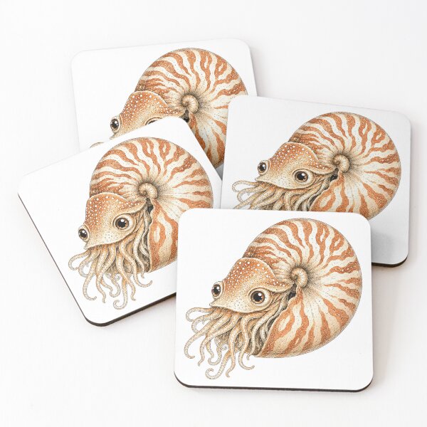 Item preview, Cute Vintage Nautilus Sticker - Striped Shell Cephalopod designed and sold by PND7777.