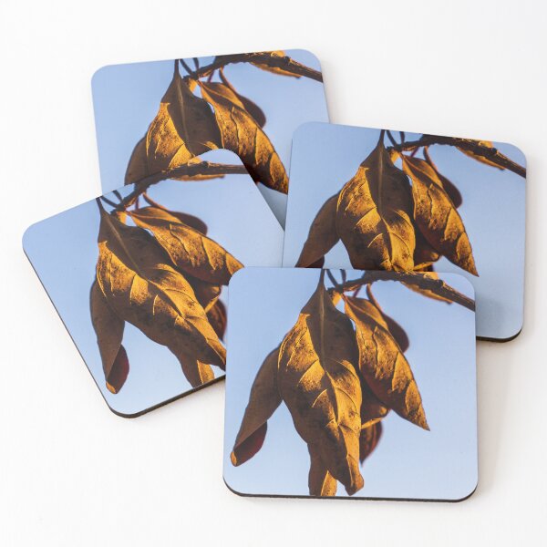 Item preview, Golden Dried Leaves Hanging From Branch in Autumn Light Close-Up Against Blue Sky designed and sold by Nmallia.