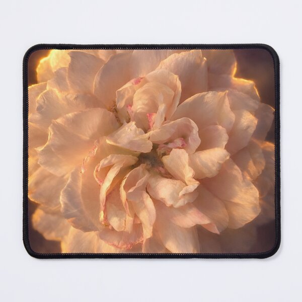 Item preview, Ivory Mist Rose designed and sold by Violafleurviolett.