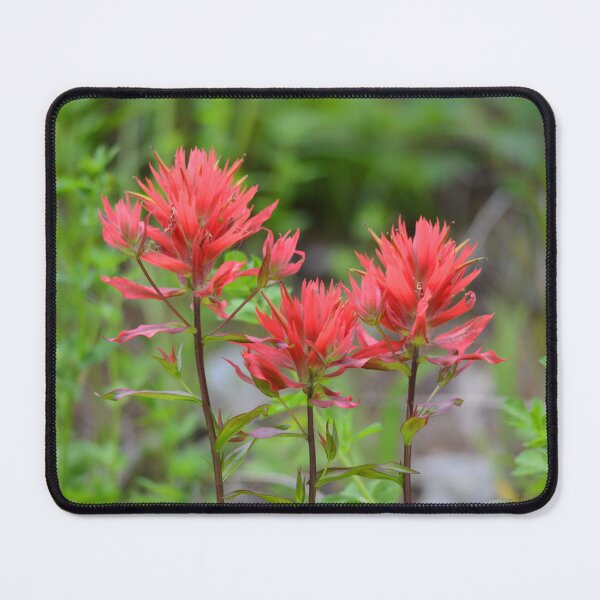 Item preview, Trio of Paintbrushes designed and sold by Whisperingpeaks.