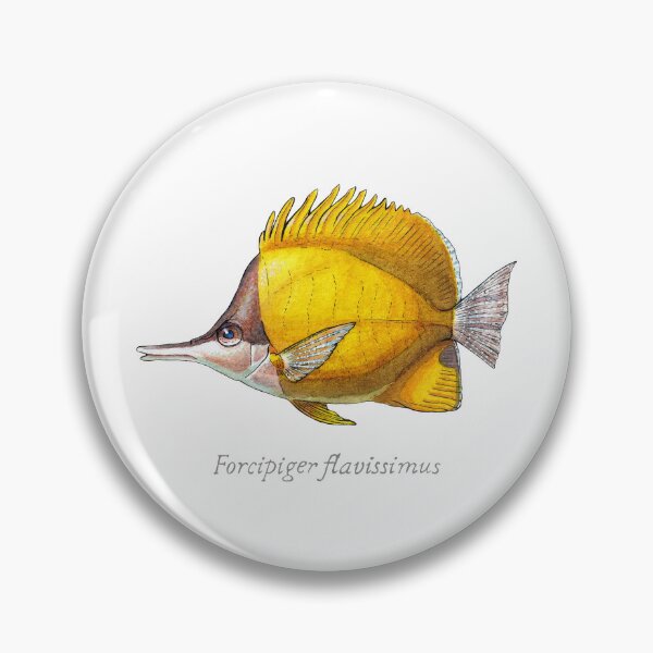 Item preview, Yellow Longnose Butterflyfish with Scientific Name - Watercolor Illustration designed and sold by AquarellChill.