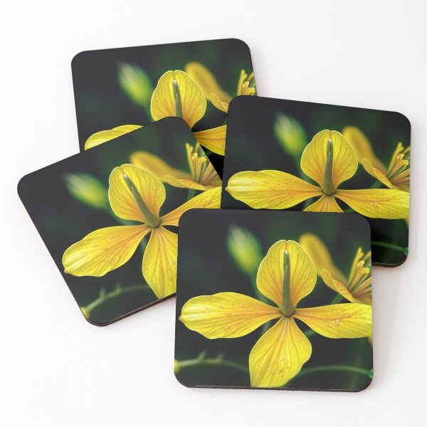 Item preview,  Solar Geometry | Yellow Flower Dark Botanical Wall Art designed and sold by WitchyBotanicaArt.
