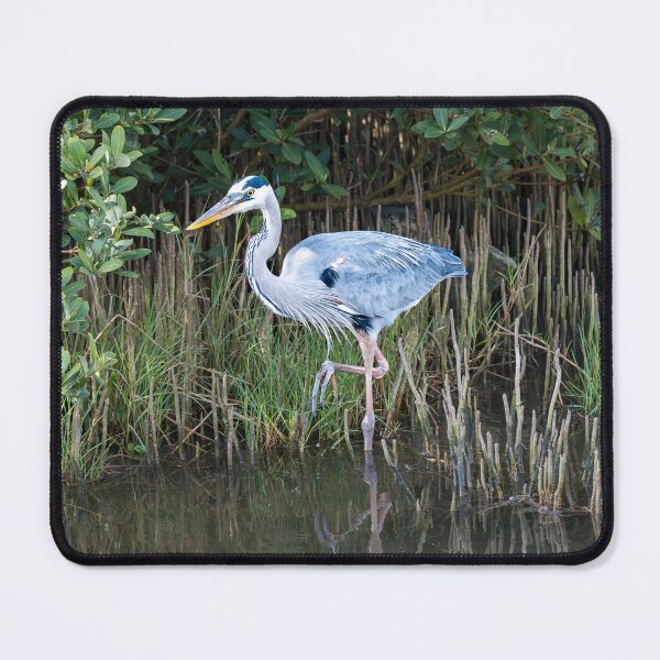 Item preview, Heron at the Mangroves – South Padre Island designed and sold by Debra Martz.