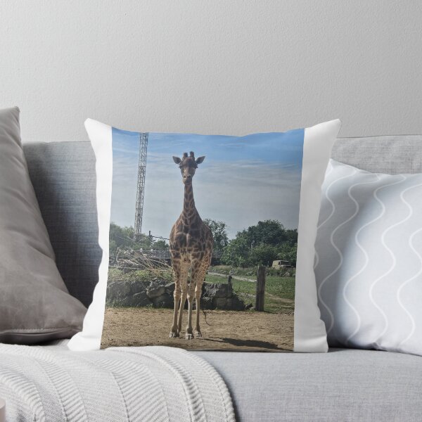 Item preview, Tall Giraffe designed and sold by ElliesWonders.