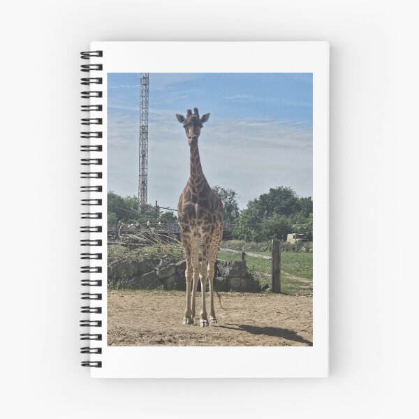 Item preview, Tall Giraffe designed and sold by ElliesWonders.