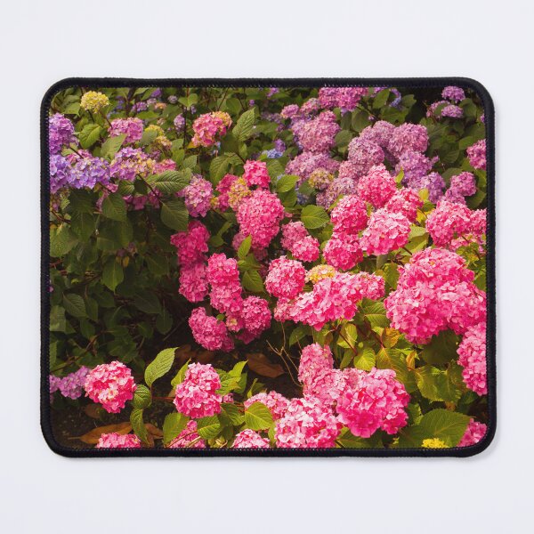 Item preview, Vibrant Hydrangea Blossoms in the Garden designed and sold by jklune.